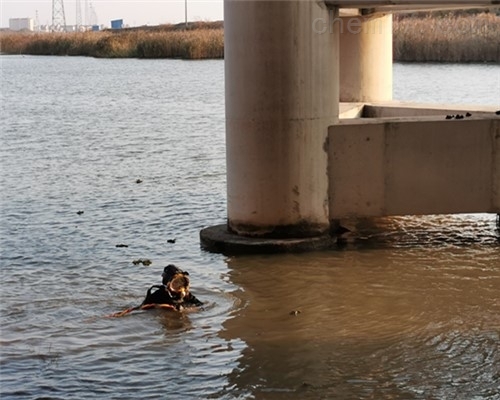 桥桩桥墩病害水下检查摄像,蛙人探摸施工公司
