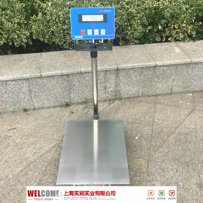 防爆电子秤