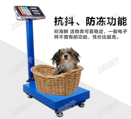电子台秤