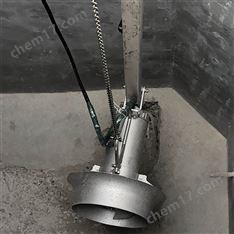 缺氧池潛水?dāng)嚢铏C(jī)