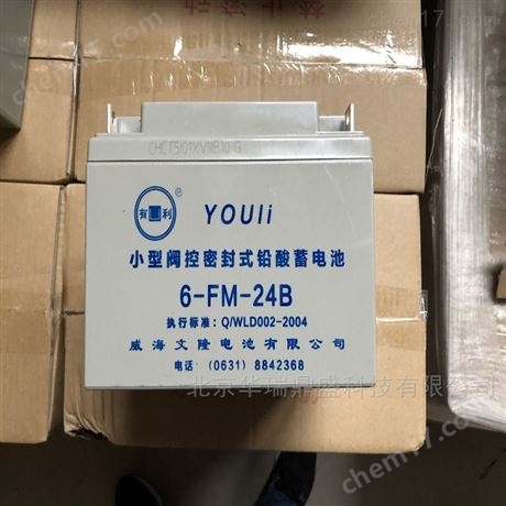 有利YOULI蓄電池6-GFM-65 12V65AH用戶要求