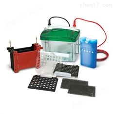美國伯樂電泳小型轉(zhuǎn)印槽1703930